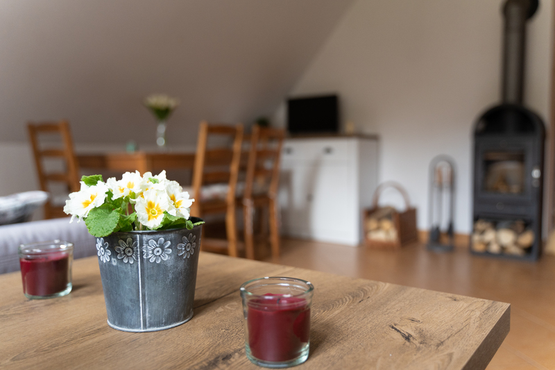 krb a jídelní stůl maleho apartmanu chalupy Bišík krb a jídelní stůl maleho apartmanu chalupy Bišík